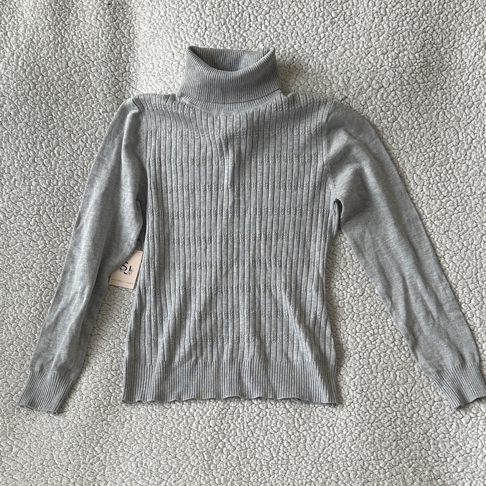 Sincerely Jules Silver Turtleneck Sweater